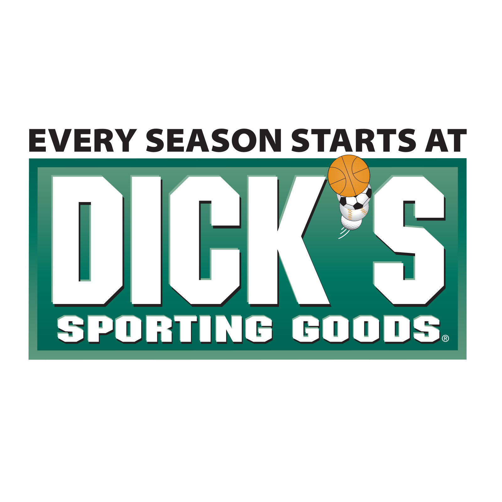 Dick's Sporting Goods Logo