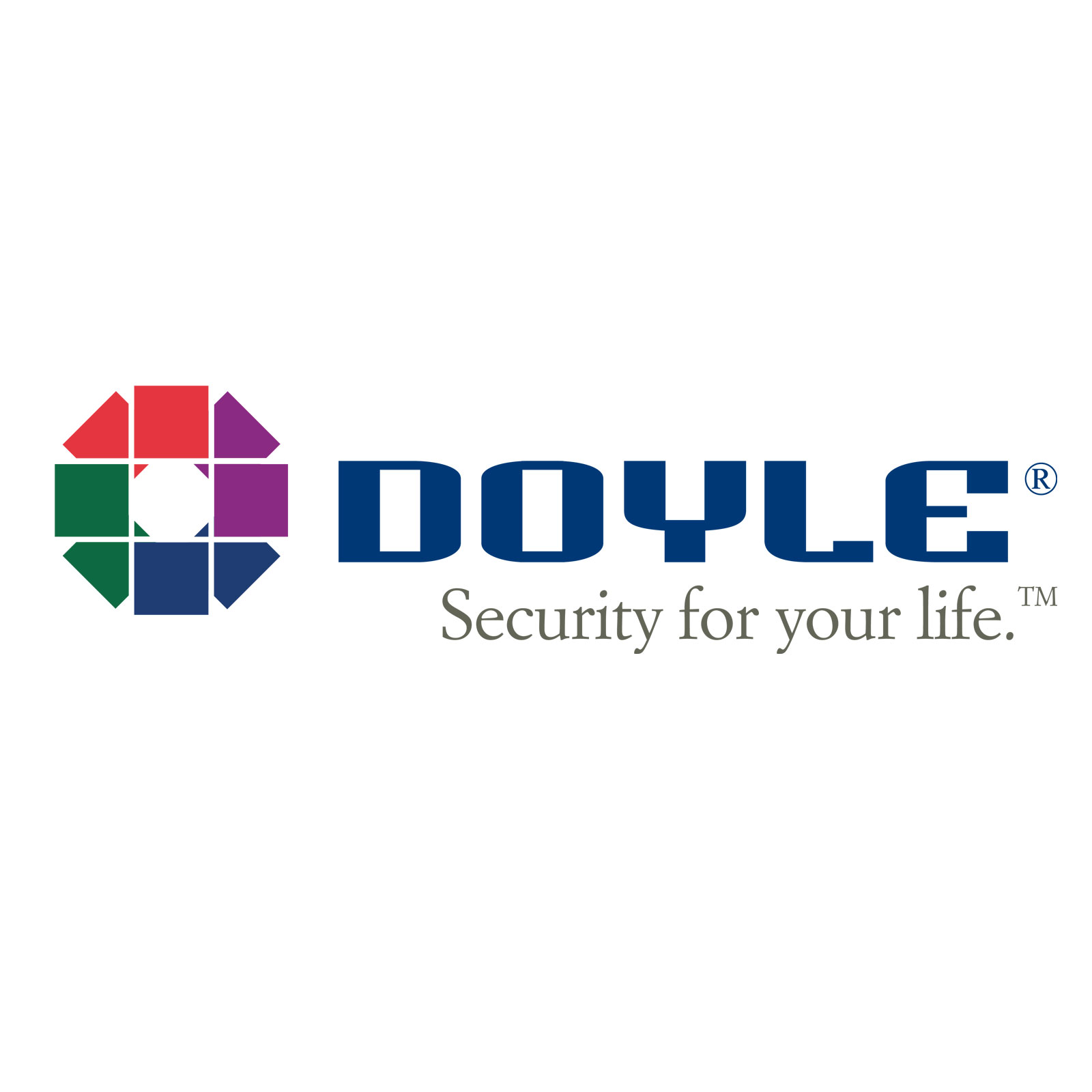 Doyle Securities Logo